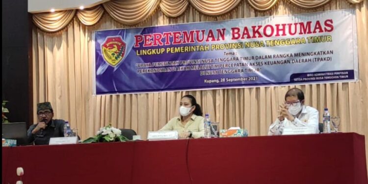 Gubernur NTT : Langkah Nyata TPKAD Meningkatkan Perekonomian Daerah