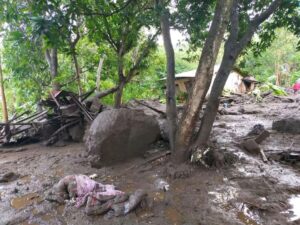 Banjir Bandang Landa Ngada, Flotim dan Lembata