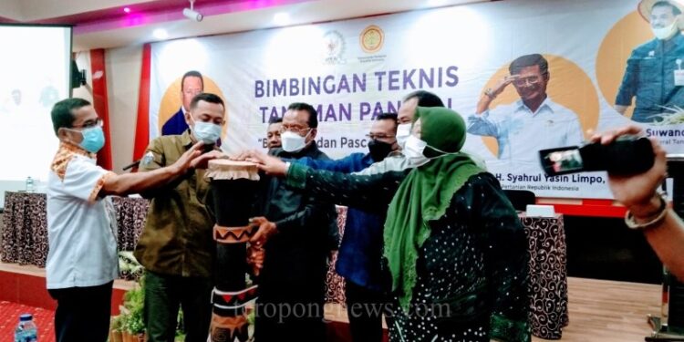 Sulaeman Hamzah Gandeng BBPOT Karawang Adakan Bimtek Budi Daya Padi Bagi Petani Papua