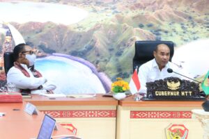 Gubernur NTT : Sertifikat Kepemilikan Tanah Harus didorong Untuk Pertumbuhan Ekonomi
