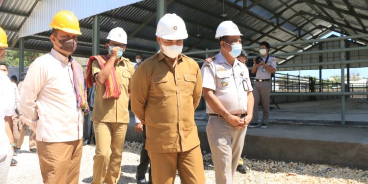 Gubernur Laiskodat Tinjau Instalasi Karantina Hewan di Kupang