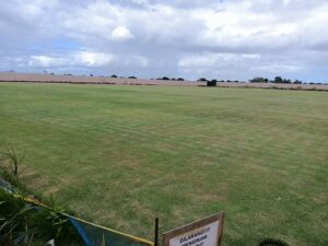 Lampu Belum Dipasang,  Pertandingan Sepak Bola Putri di Stadion Katalpal Tak Dilaksanakan Malam