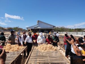 Rumput Laut Tanpa Bahan Kimia Dari NTT Untuk Dunia