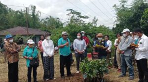 Pencanangan Gerakan Tanam Kopi Arabika Di Manggarai Timur