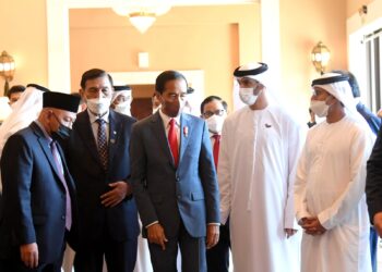 Pembangunan IKN, Transisi Energi, dan Perdagangan, Tiga Sektor Prioritas Kerja Sama Indonesia–PEA