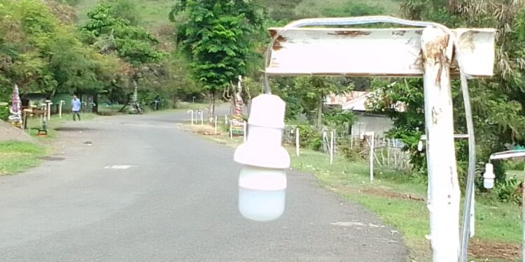 OMK Lingkungan Fernandes Ratebobi Hiasi Lampu Jalan Provinsi  Dengan Botol Bekas