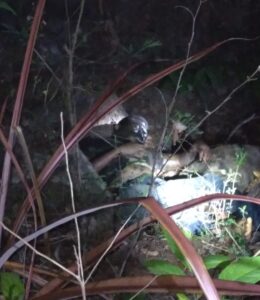 Kasus Kematian Agustinus Leyong Tolok Perlu diselidiki kembali, Periksa Dokter Ahli Pembuat Visum et Repertum