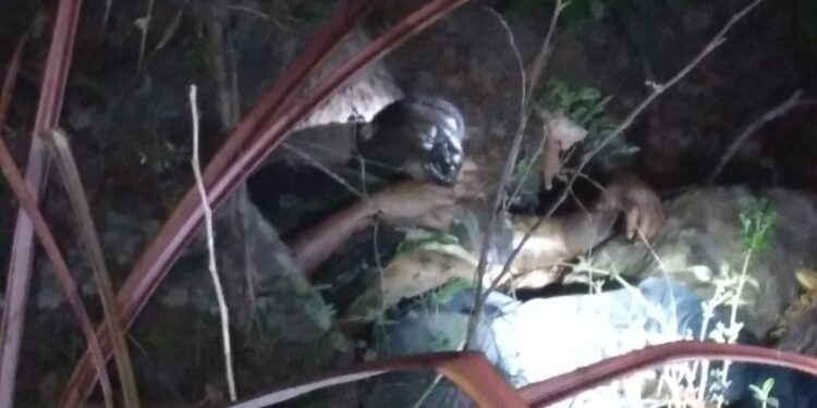 Kasus Kematian Agustinus Leyong Tolok Perlu diselidiki kembali, Periksa Dokter Ahli Pembuat Visum et Repertum