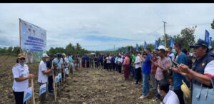 Wabup Jaghur : Tanam Jagung Panen Sapi Itu Mindset Baru, Maka Butuh Kesungguhan