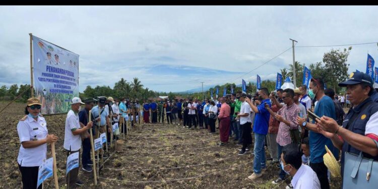 Wabup Jaghur : Tanam Jagung Panen Sapi Itu Mindset Baru, Maka Butuh Kesungguhan