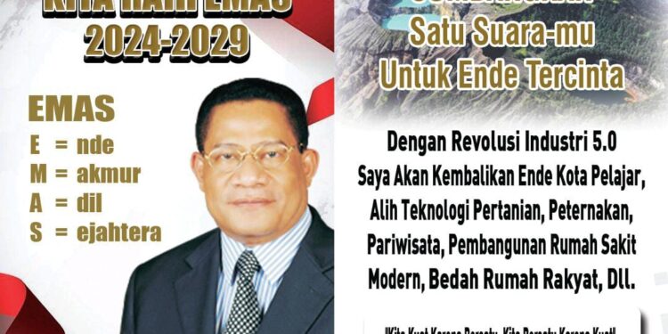 Servasius Mario Patty, Siap Jadi Bupati Ende 2024