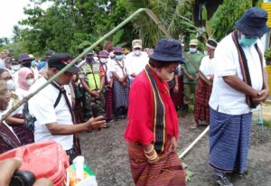 Eksplorasi Budaya Kecamatan Nagawutung : Ritual Adat “Sika Sed Angi Kferok”