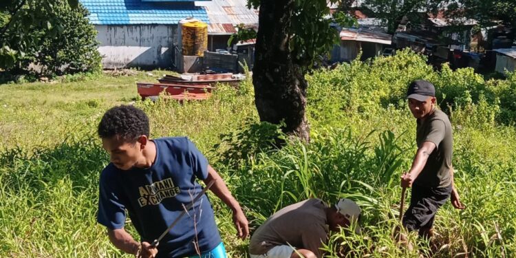 Mahasiswa KKN Unwira Tanam Pohon di Kawasan Bolok