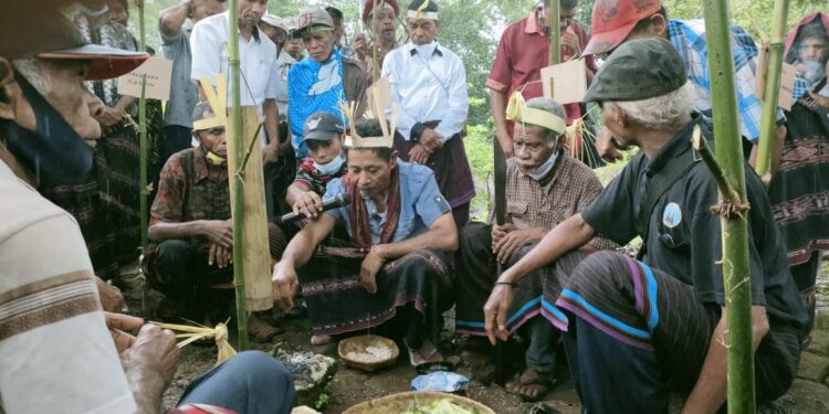 Gelar Adat “Lou Tiwa” Lembata, Ritual Pembersihan Diri dan Wabah Penyakit