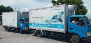 Lembata Ekspor 10 Ton Tuna ke Amerika