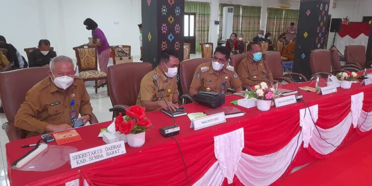 Wabup Ende Minta Dukungan Pemerintah Pusat Bangun MPP