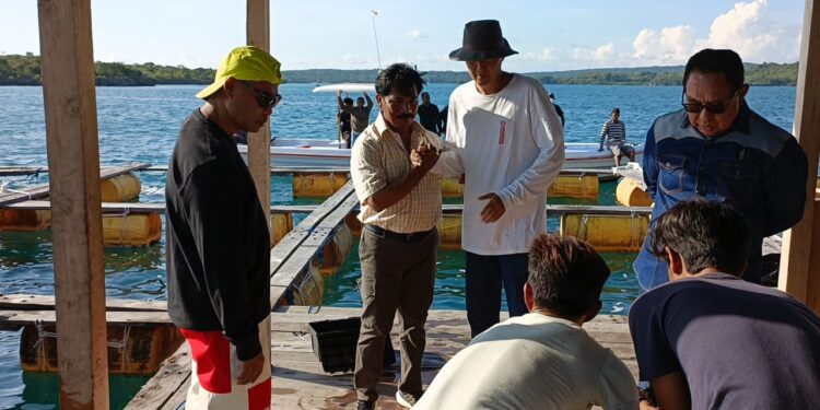 Gubernur dan Wagub NTT Tinjau Budidaya Lobster di Mulut Seribu
