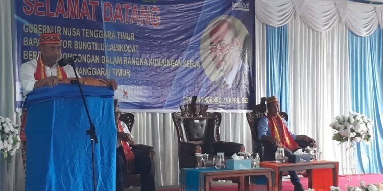 Gubernur Laiskodat Puji Kinerja Bank NTT