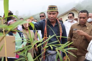 Gubernur VBL Tanam Bambu di Manggarai