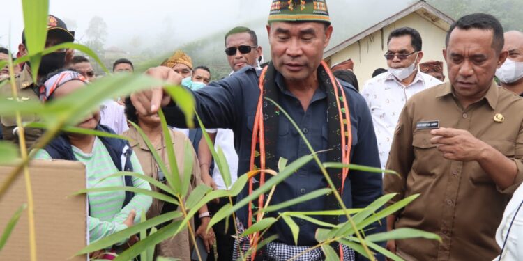 Gubernur VBL Tanam Bambu di Manggarai