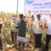 Gubernur VBL Panen Jagung di Nagekeo