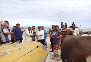 Gebernur NTT Serahkan Hewan Kurban Untuk Warga Muslim Sulamu