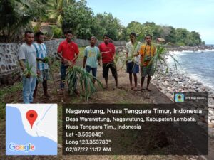 Karang Taruna Desa Warawatung Tanam Pandan Cegah Abrasi