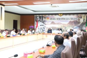 Calon Tunggal Tuan Rumah PON 2028, TPP KONI Cek Kesiapan NTT