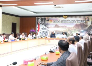Calon Tunggal Tuan Rumah PON 2028, TPP KONI Cek Kesiapan NTT