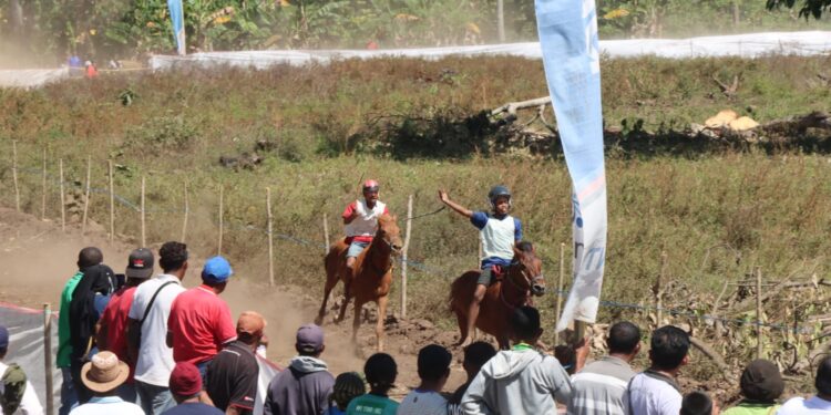 Wagub Nae Soi Buka Pacuan Kuda di Ngada, Pacu Ekonomi Rakyat