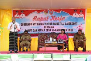 Gubernur Laiskodat Apresiasi Penanganan Stunting di Kabupaten Ende