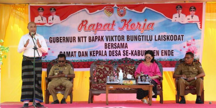 Gubernur Laiskodat Apresiasi Penanganan Stunting di Kabupaten Ende