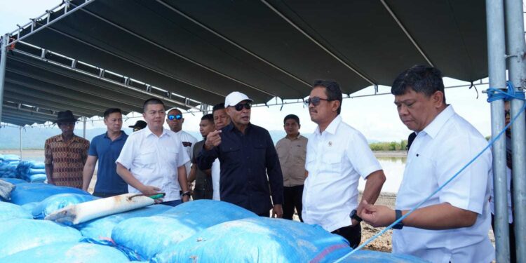 Menteri Kelautan dan Perikanan Tinjau Tambak Garam Nunkurus-Kupang