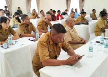 Penjabat Bupati Flotim Buka Lokakarya Inisiasi Rencana Induk Penerapan SPM
