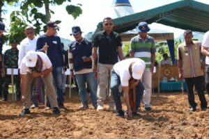 Gubernur NTT Dorong Pengembangan Sorgum