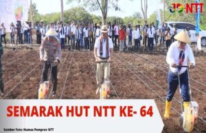 Semarak HUT NTT Ke-64, Pemprov NTT Gelar  di Sumba Barat Daya