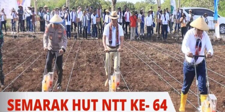 Semarak HUT NTT Ke-64, Pemprov NTT Gelar  di Sumba Barat Daya