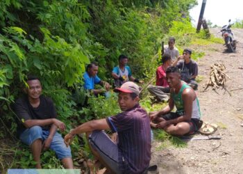 Warga Desa Warawatung Bersihkan Jaringan Listrik