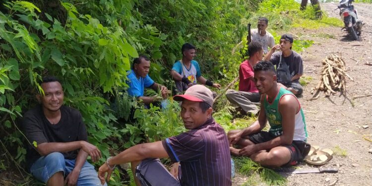 Warga Desa Warawatung Bersihkan Jaringan Listrik