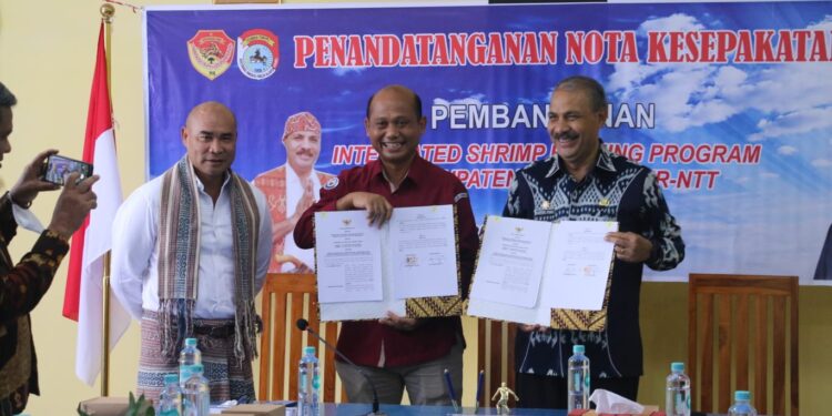 Laut NTT Kaya, Kelola Optimal Untuk Kesejahteraan