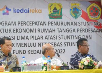 Wabup Wanggarai Hery Ngabut Minta Undana Dampingi Tangani Stunting