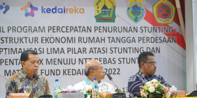 Wabup Wanggarai Hery Ngabut Minta Undana Dampingi Tangani Stunting