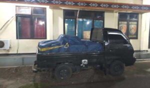 Paminal Polda NTT Ciduk Penyelundup BBB di Lembata