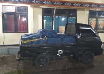 Paminal Polda NTT Ciduk Penyelundup BBB di Lembata