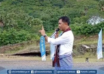 Bupati Lembata Buka Festival Leva Alep di Lamalera
