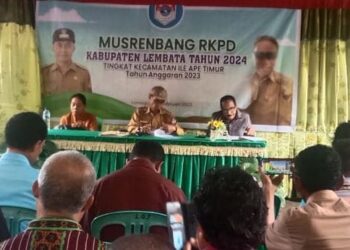 Camat Minta Pemkab Lembata Prioritas Jalan Segmen Kritis di Ileape Timur