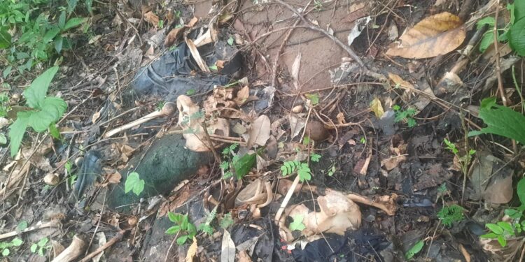 Tulang-Belulang Manusia Ditemukan di Kebun Gomi – Lewoingu