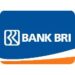 Bank BRI Kucurkan Rp 270 Triliun Untuk Rakyat