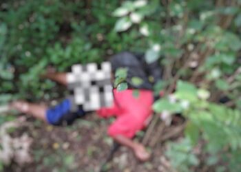 Heboh! Warga Temukan Agustinus Tewas di Desa Ilekimok