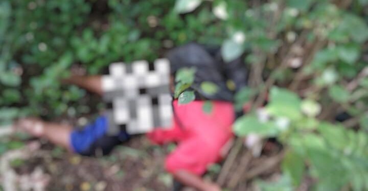 Heboh! Warga Temukan Agustinus Tewas di Desa Ilekimok